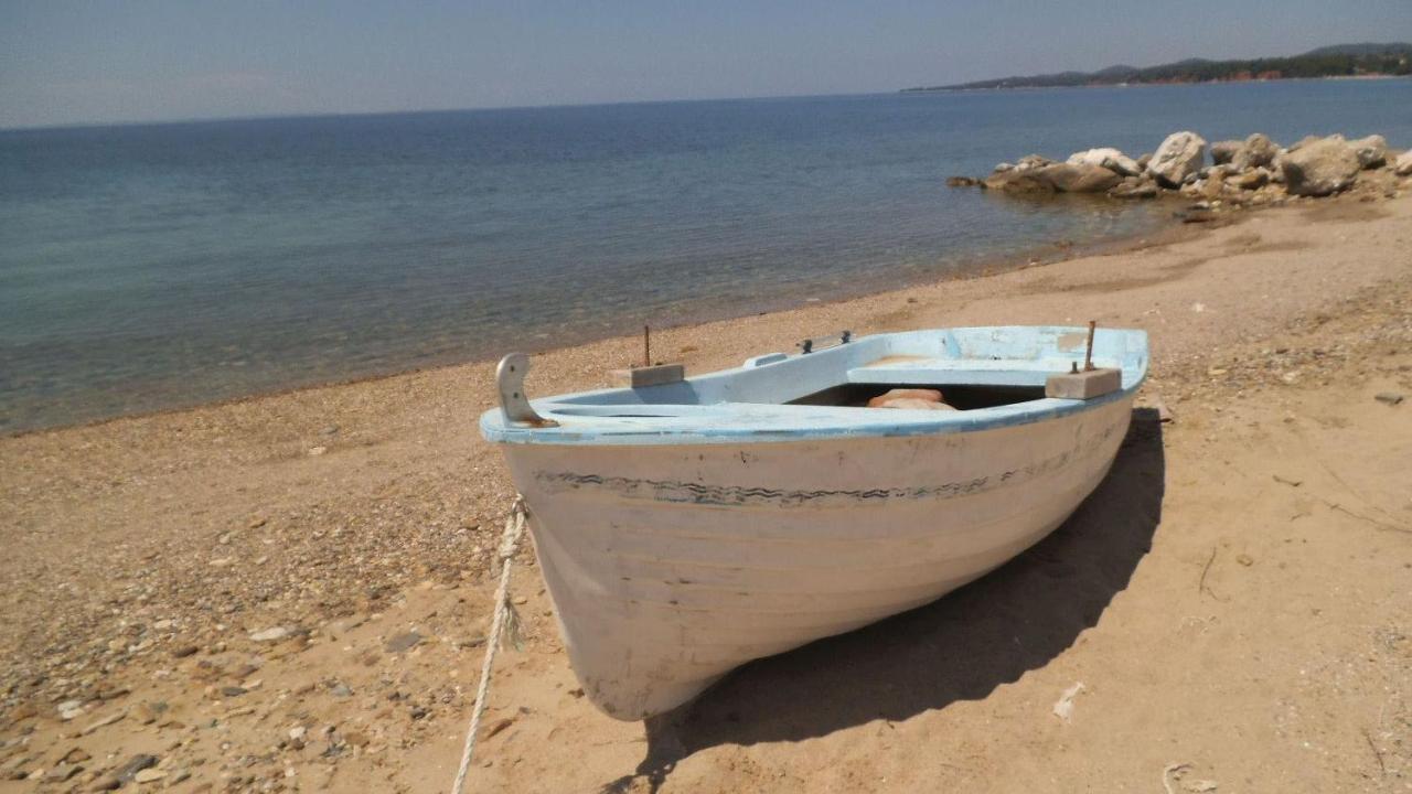 Finikas Garden Beach Resort Nikiti Bagian luar foto