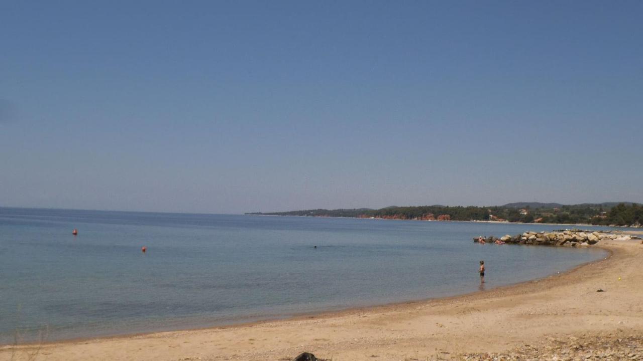 Finikas Garden Beach Resort Nikiti Bagian luar foto